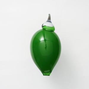 Birds Green Ibis 0172