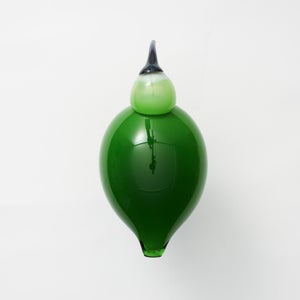 Birds Green Ibis 0220