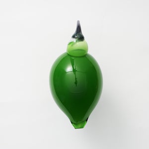 Birds Green Ibis 0221