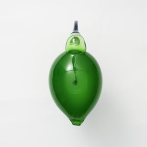 Birds Green Ibis 0222