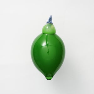 Birds Green Ibis 0223