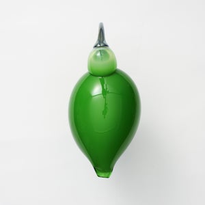 Birds Green Ibis 0224