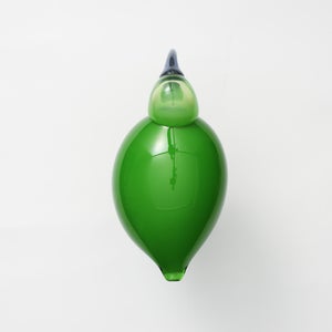 Birds Green Ibis 0225