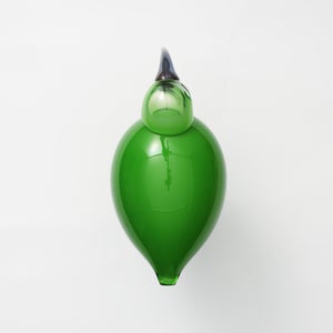 Birds Green Ibis 0226