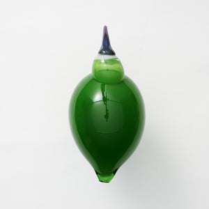 Birds Green Ibis 0230