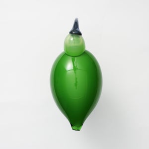 Birds Green Ibis 0231