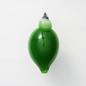 Birds Green Ibis 0232