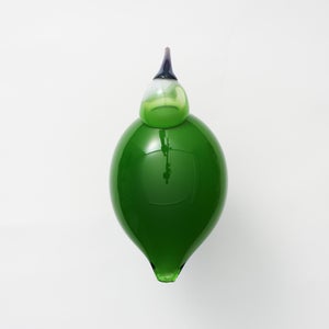 Birds Green Ibis 0233