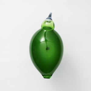 Birds Green Ibis 0234