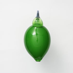 Birds Green Ibis 0235