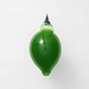 Birds Green Ibis 0236