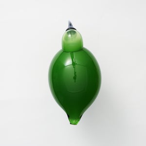 Birds Green Ibis 0237