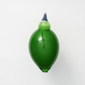 Birds Green Ibis 0238