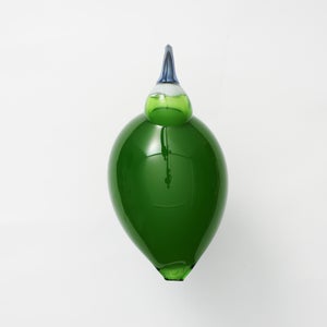 Birds Green Ibis 0239