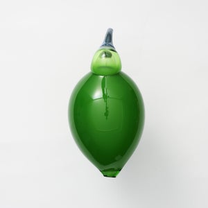 Birds Green Ibis 0240