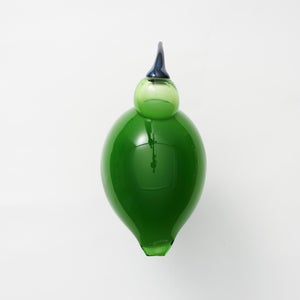 Birds Green Ibis 0242