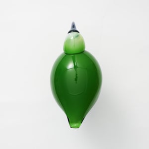 Birds Green Ibis 0243