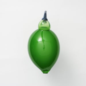 Birds Green Ibis 0244