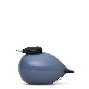 Birds Kuulas レイン 0276