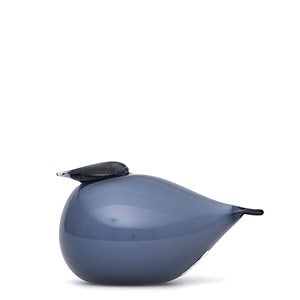 Birds Kuulas レイン 0277