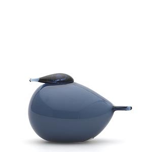 Birds Kuulas レイン 0352