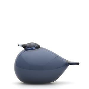 Birds Kuulas レイン 0367