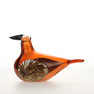 Birds Lakla セビリアオレンジ 0001