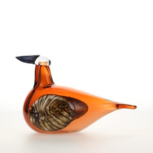 Birds Lakla セビリアオレンジ 0002