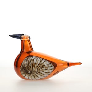 Birds Lakla セビリアオレンジ 0004