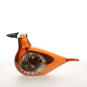 Birds Lakla セビリアオレンジ 0005