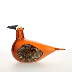 Birds Lakla セビリアオレンジ 0008