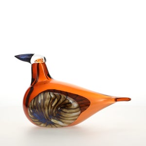 Birds Lakla セビリアオレンジ 0010