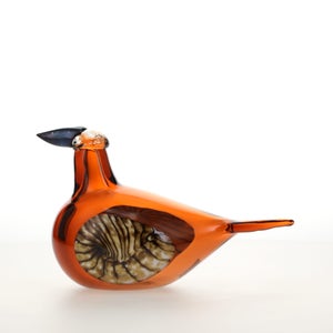 Birds Lakla セビリアオレンジ 0012