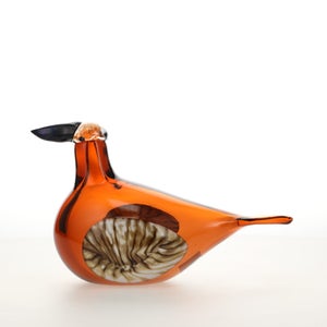 Birds Lakla セビリアオレンジ 0013