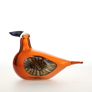 Birds Lakla セビリアオレンジ 0014