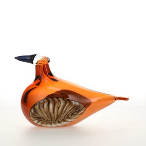 Birds Lakla セビリアオレンジ 0015