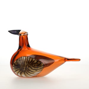 Birds Lakla セビリアオレンジ 0016