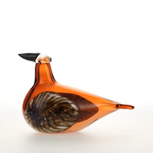 Birds Lakla セビリアオレンジ 0017