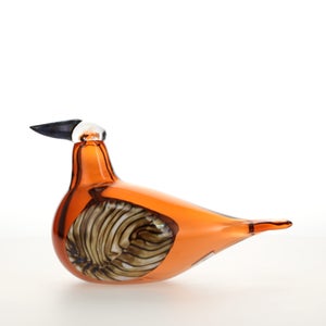 Birds Lakla セビリアオレンジ 0018