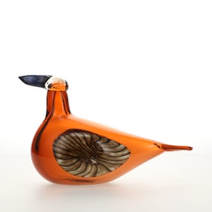 Birds Lakla セビリアオレンジ 0019