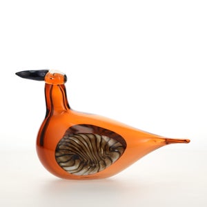 Birds Lakla セビリアオレンジ 0020