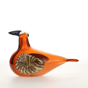 Birds Lakla セビリアオレンジ 0021