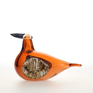 Birds Lakla セビリアオレンジ 0022