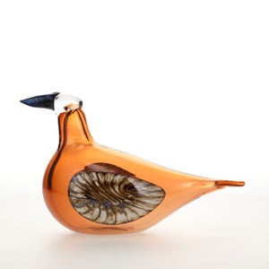 Birds Lakla セビリアオレンジ 0023