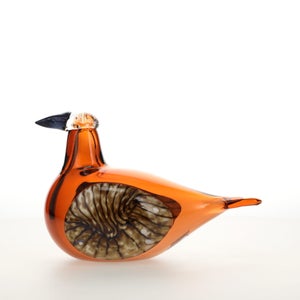 Birds Lakla セビリアオレンジ 0024