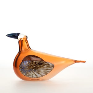 Birds Lakla セビリアオレンジ 0025