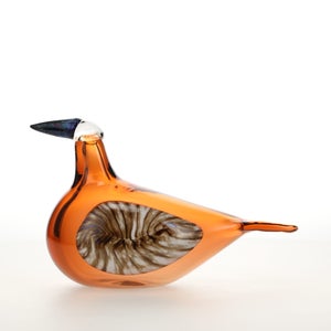 Birds Lakla セビリアオレンジ 0027