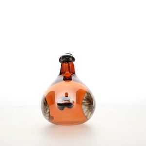 Birds Lakla セビリアオレンジ 0015