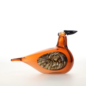 Birds Lakla セビリアオレンジ 0002