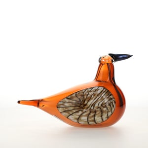 Birds Lakla セビリアオレンジ 0004